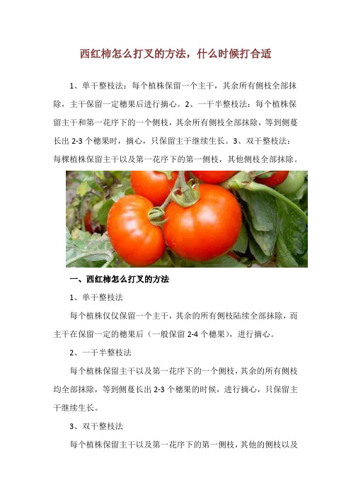 西红柿怎么打叉的方法,什么时候打合适