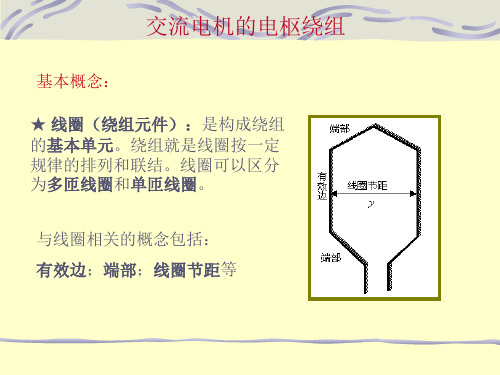 交流电机的电枢绕组