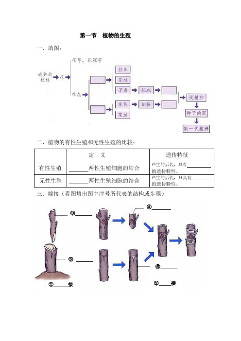 《植物的生殖》习题