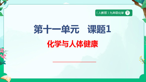 11.1化学与人体健康课件---2024-2025学年九年级化学人教版(2024)下册