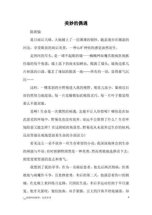 美妙的偶遇_优秀作文