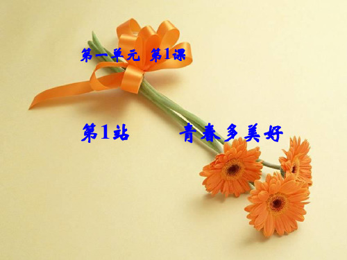 八年级政治青春多美好PPT优秀课件