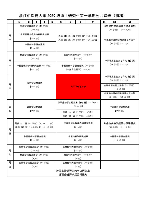 浙江中医药大学2020级博士研究生第一学期公共课表(初稿)【模板】