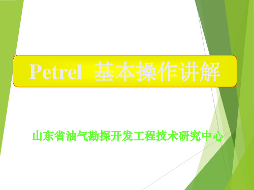 petrel软件详细教程