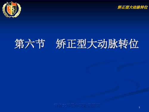 2-3-8矫正型大动脉转位