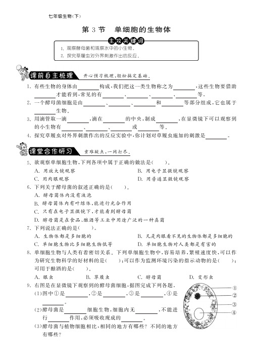 七年级生物下册 第四单元 第9章 第3节 单细胞的生物体课课练(pdf) 苏科版