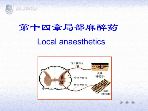 药理学课件：第十四章 局部麻醉药