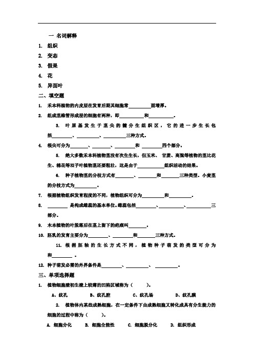 植物学期中考试题