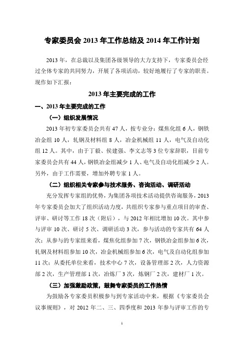 2013年专家委员会总结