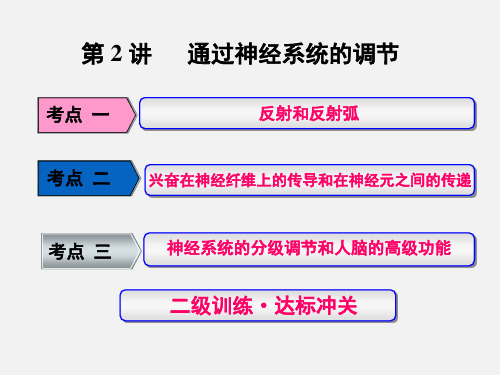 高考生物 一轮复习 第一单元 动物和人体生命活动的调节 第2讲 通过神经系统的调节(必修3)