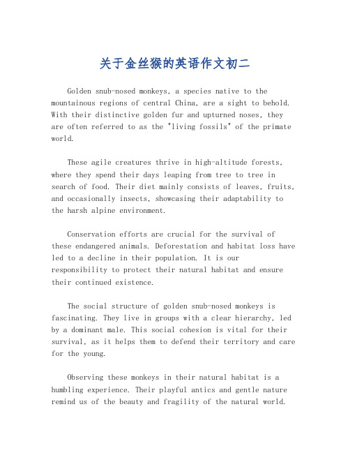 关于金丝猴的英语作文初二