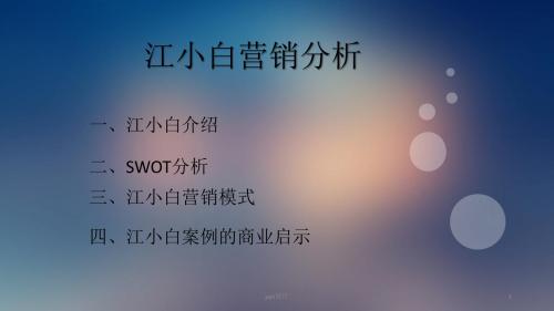 网络营销经典案例分析  ppt课件