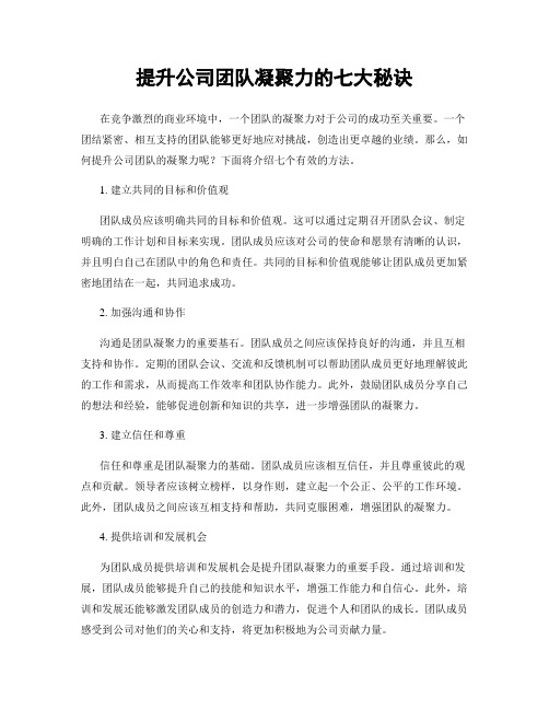 提升公司团队凝聚力的七大秘诀