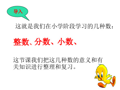 小学六年级数学总复习数的认识