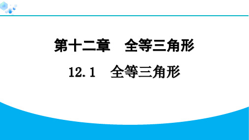 12.1 全等三角形【课课练】八年级上册人教版数学