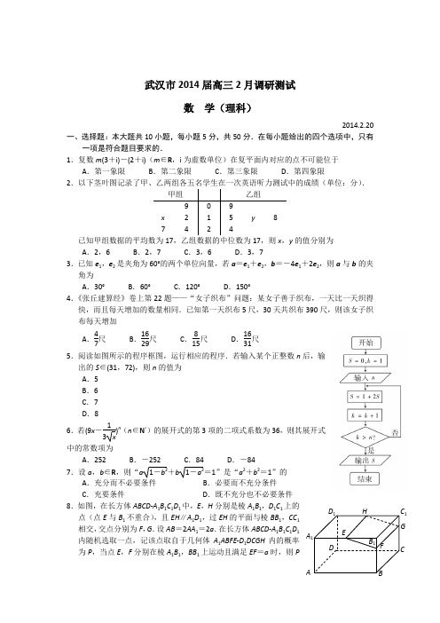 湖北省武汉市2014届高三2月调研测试 数学理试题 Word版含答案