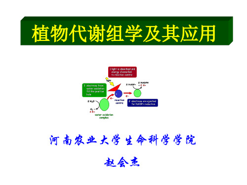 植物代谢组学