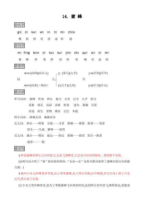 部编版三年级语文下册知识点总结课堂笔记14.蜜蜂