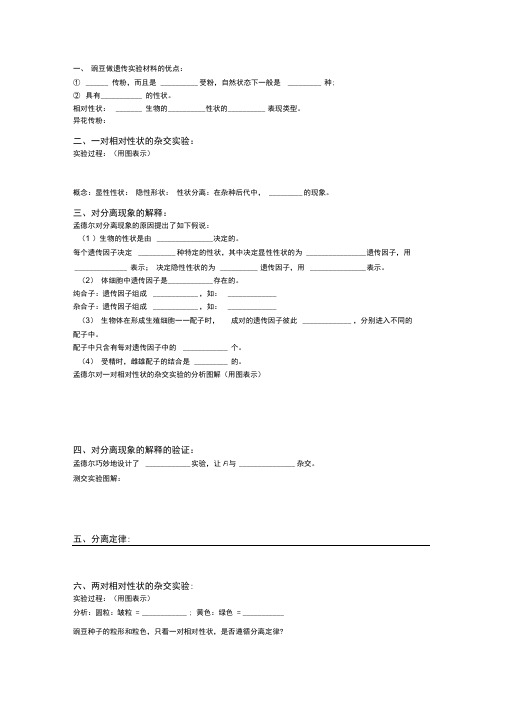 豌豆杂交实验