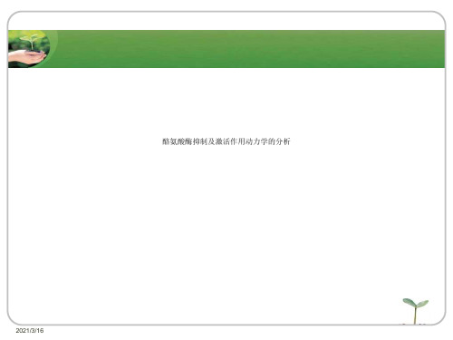 酪氨酸酶抑制及激活作用动力学的分析.ppt