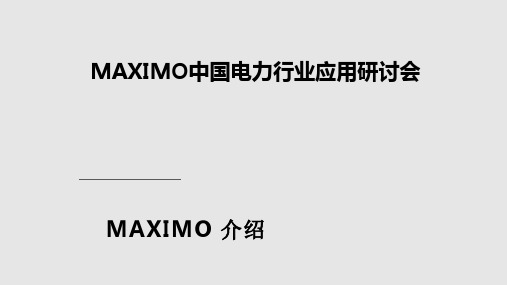 MAXIMO系统介绍PPT课件