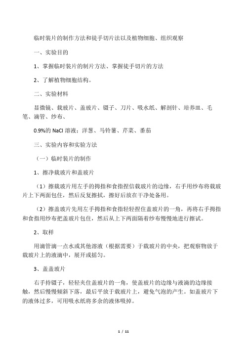 徒手切片法和临时装片的制作方法以及植物细胞和组织观察