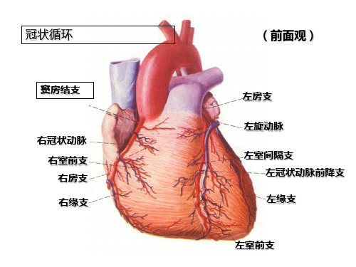 心电图课件11-心肌缺血、梗死-PPT文档