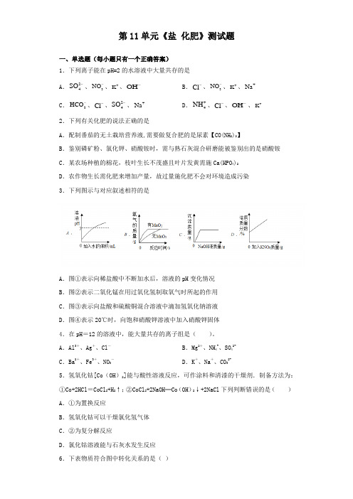 人教版化学九年级下册第11单元《盐 化肥》测试试题(含答案)