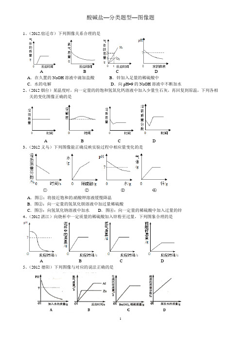 初三化学最新 酸碱盐-分类题型-图像篇