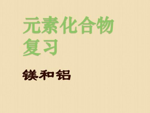 高考化学总复习一轮精品课件：《镁和铝》