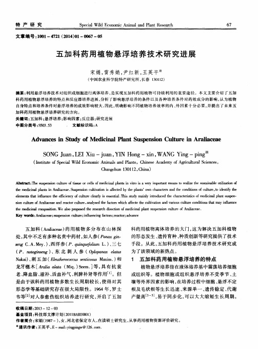 五加科药用植物悬浮培养技术研究进展