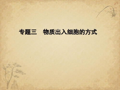 学法大视野2017版高考生物一轮复习专题3物质出入细胞的(精) 精品 PPT课件