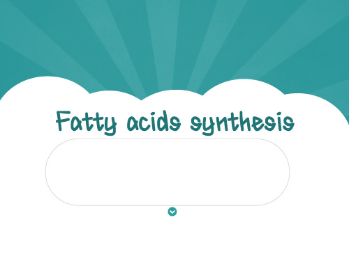 fatty acids synthesis 脂肪酸合成