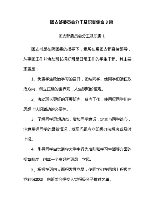 团支部委员会分工及职责集合3篇