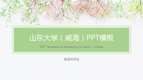 山东大学(威海)专用-清新风格-PPT模板