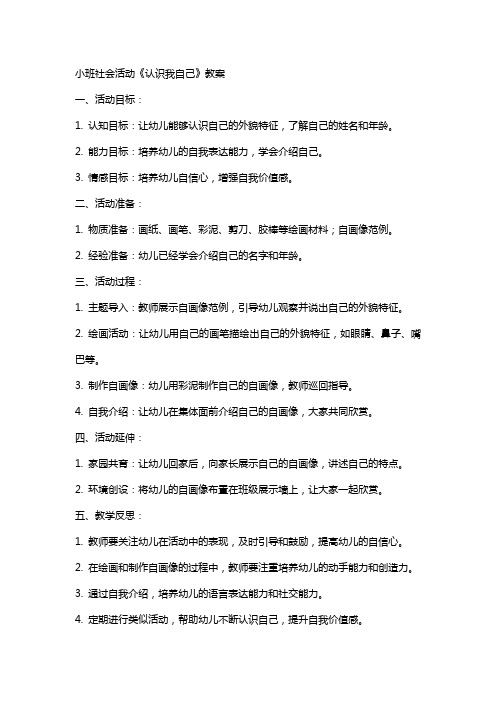 小班社会活动《认识我自己》教案