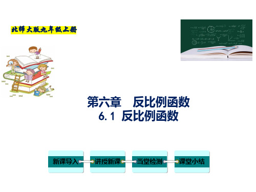 北师大版九年级数学上册 反比例函数