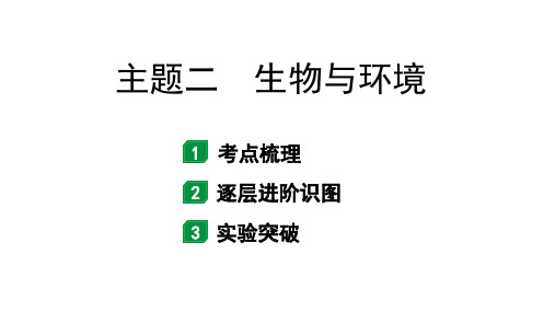 2024北京中考生物二轮中考考点研究 主题二 生物与环境(课件)