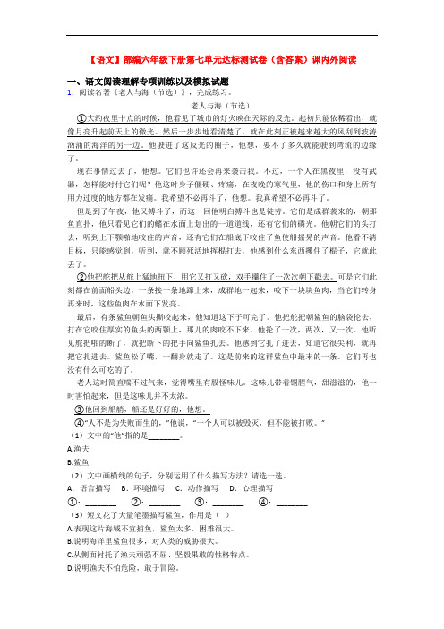 【语文】部编六年级下册第七单元达标测试卷(含答案)课内外阅读