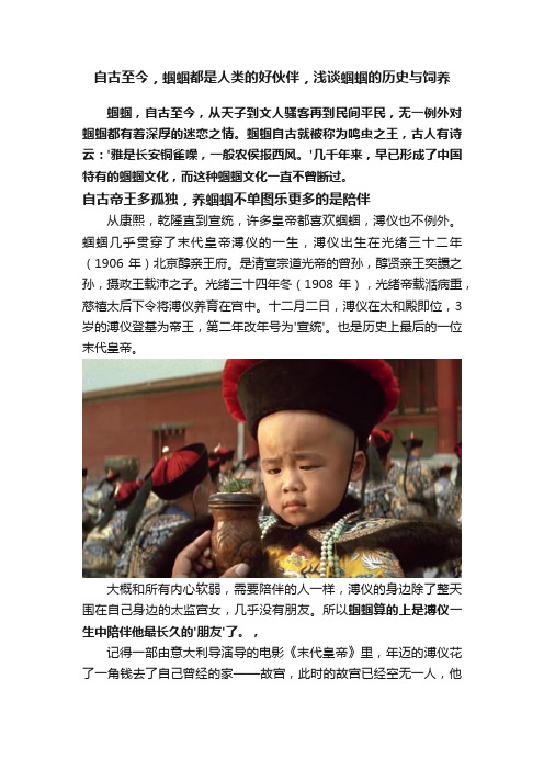 自古至今，蝈蝈都是人类的好伙伴，浅谈蝈蝈的历史与饲养