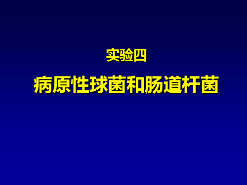 微生物课件-实验-4实验四球菌、肠道杆菌-zxy