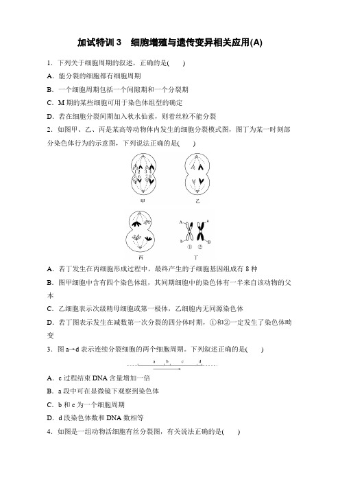 2017版2017年4月浙江选考考前特训30分特训选择题：特训3 细胞增殖与遗传变异相关应用A 含解析 精品