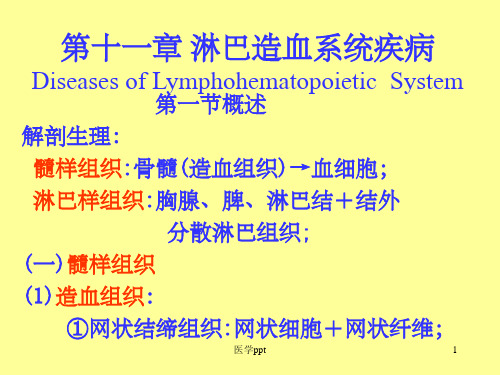 肿瘤——淋巴造血系统疾病