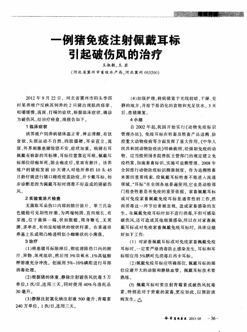 一例猪免疫注射佩戴耳标引起破伤风的治疗