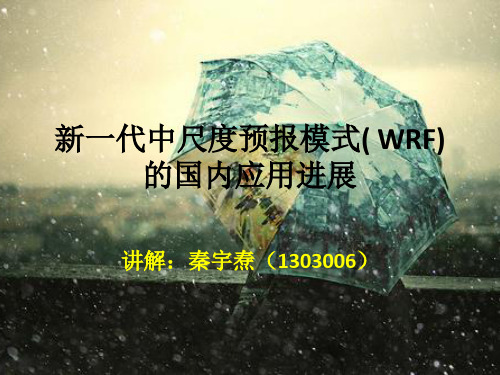 新一代中尺度预报模式( WRF)