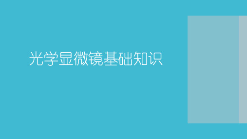 光学显微镜基础知识