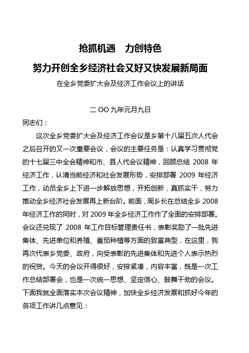 在全乡党委扩大会及经济工作会议上的讲话—