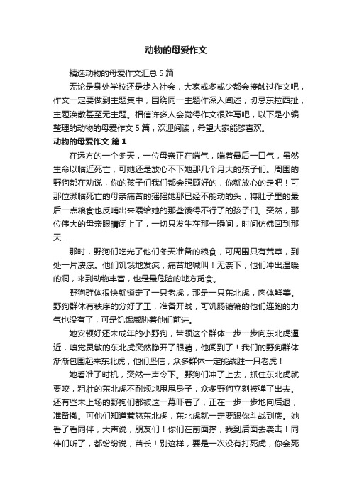 精选动物的母爱作文汇总5篇