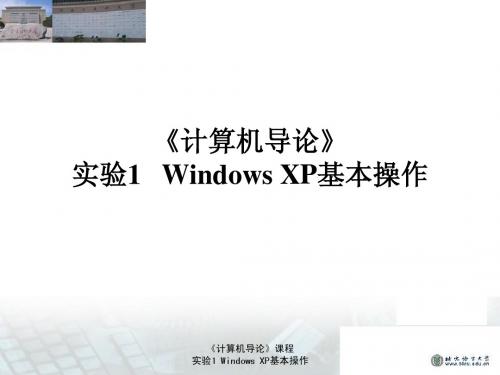 实验1 Windows XP基本操作——课堂讲解要点