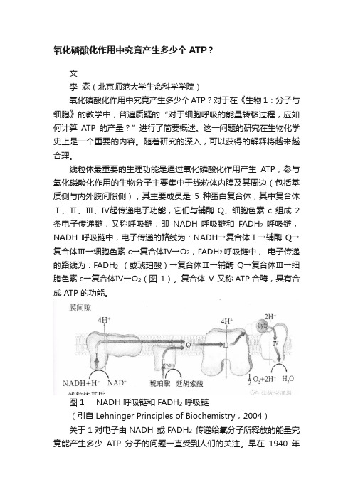 氧化磷酸化作用中究竟产生多少个ATP？